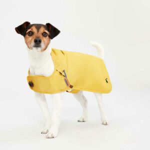 Joules-Mustard-Raincoat-for-Dogs