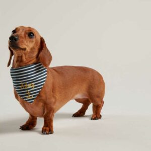 Joules Nautical Dog Collar And Neckerchief