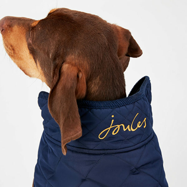 Joules Navy Quilted Dog Coat lifestyle close up of collar
