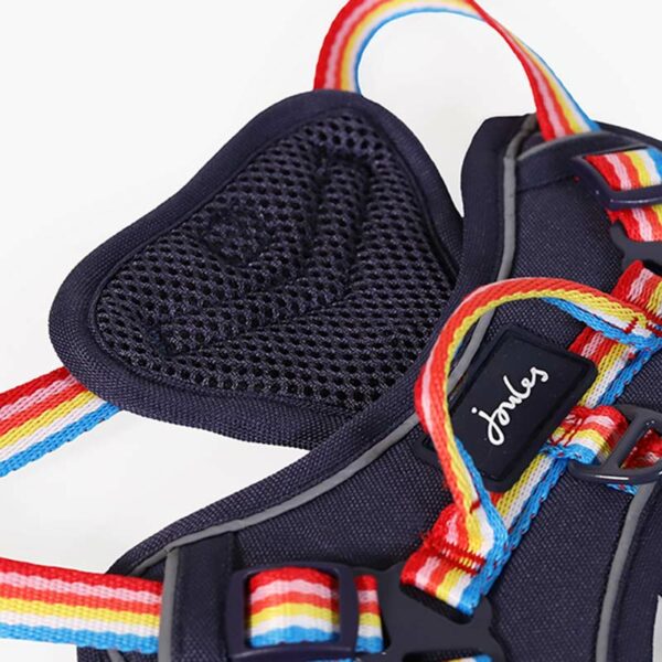 Joules Rainbow Dog Harness - Close up of mesh & top D-ring