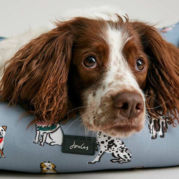 Joules Rainbow Dogs Box Bed lifestyle with dog & branding