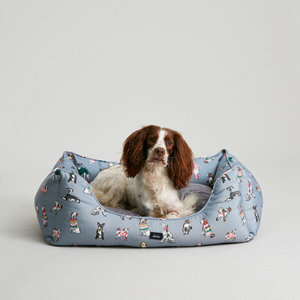 Joules Rainbow Dogs Box Bed lifestyle with dog