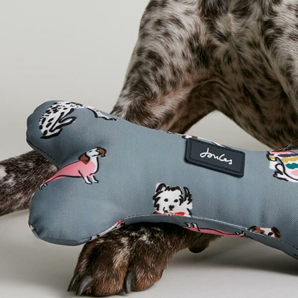 Joules Rainbow Dogs Comfort Bone Dog Toy lifestyle with toy near dogs paws