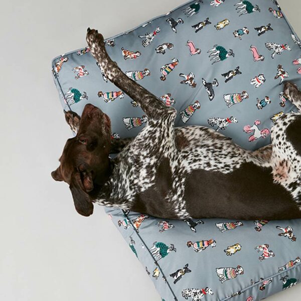 Joules Rainbow Dogs Mattress lifestyle overview with dog laying down