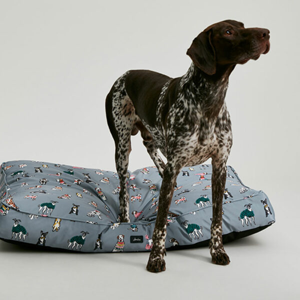 Joules Rainbow Dogs Mattress lifestyle with dog standing on top