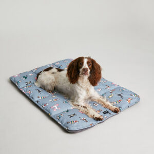 Joules Rainbow Dogs Travel Mat lifestyle with dog