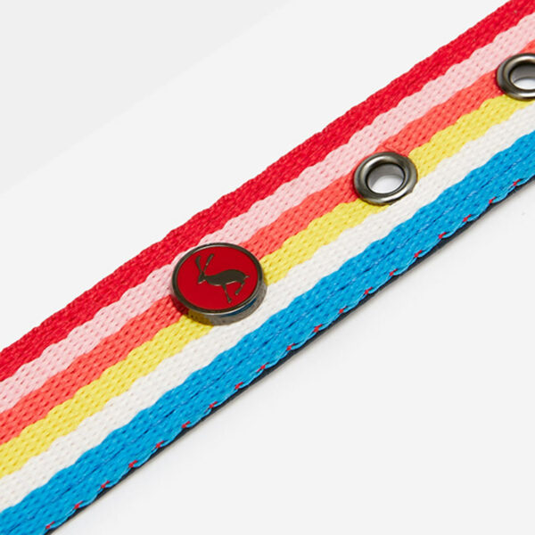 Joules Rainbow Stripe Dog Collar close up of collar design