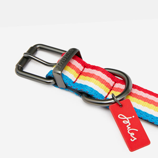 Joules Rainbow Stripe Dog Collar close up of buckle