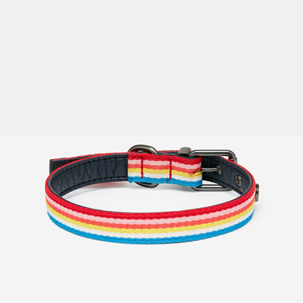 Joules Rainbow Stripe Dog Collar back view