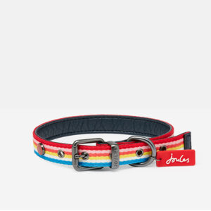 Joules Rainbow Stripe Dog Collar front view