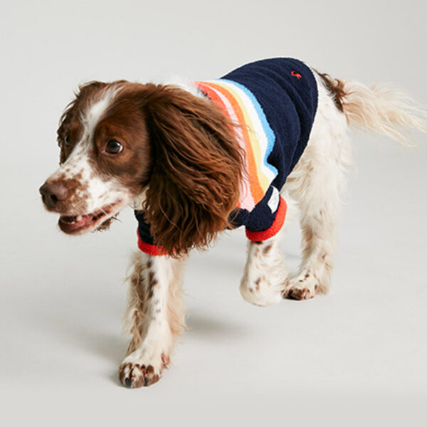 Joules Seaport Chenille Stripe Dog Jumper lifestyle with dog wearing & moving