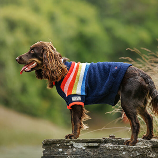 Joules Seaport Chenille Stripe Dog Jumper lifestyle outdoor