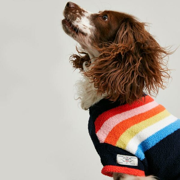 Joules Seaport Chenille Stripe Dog Jumper lifestyle with dog wearing close up side view