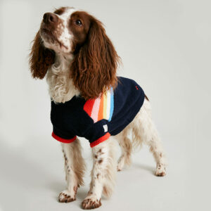 Joules Seaport Chenille Stripe Dog Jumper lifestyle with dog wearing