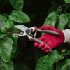 Kent & Stowe Professional Anvil Secateurs in use