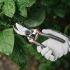 Kent & Stowe Professional Bypass Secateurs in use