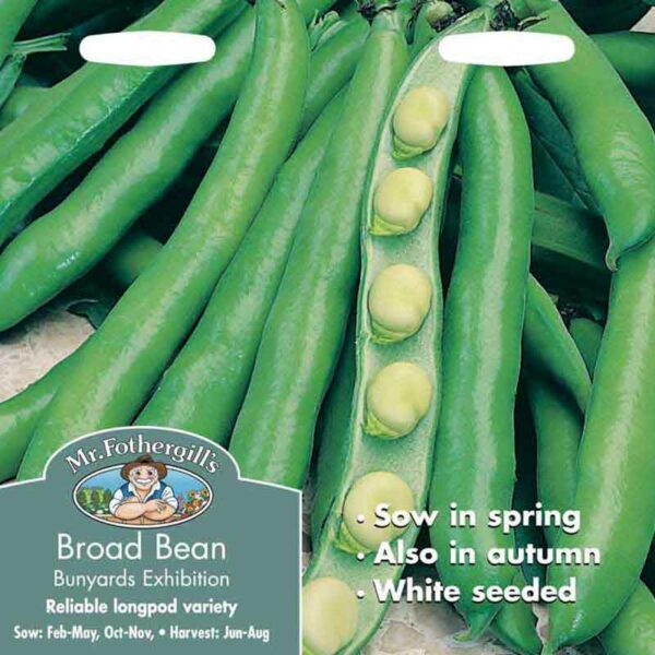 Mr Fothergill’s Broad Bean Bunyards Exhibition Seeds