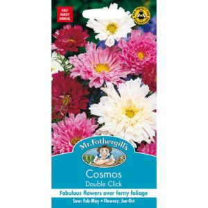 Mr Fothergill's Cosmos Double Click Seeds