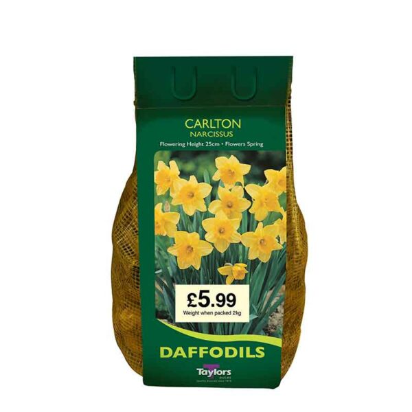 Narcissus 'Carlton' Daffodils (2kg Bag)
