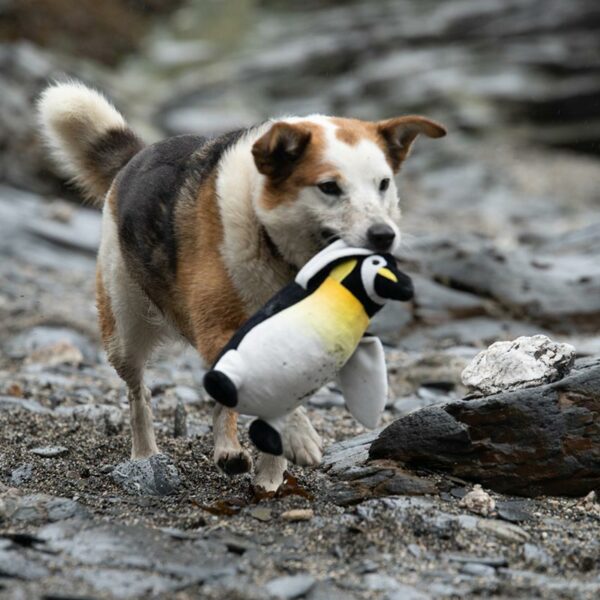 Petface Panuk Penguin Plush Dog Toy lifestyle with dog
