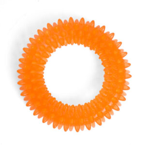Petface Seriously Strong Dental Ring Dog Toy