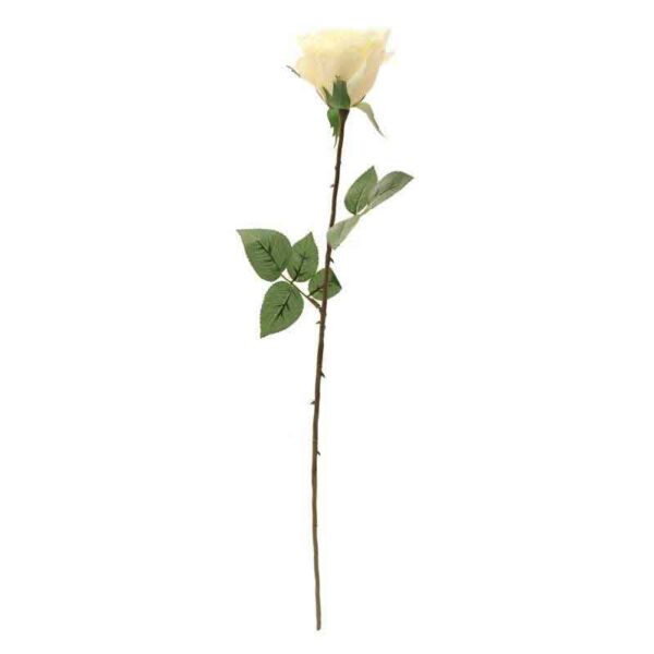 Single Cream Kaia Rose Stem (65cm)