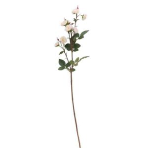 White Wild Rose Spray Stem (73cm)