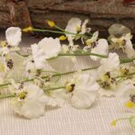 White Dancing Orchid Stem (88cm)