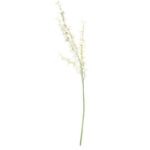 White Dancing Orchid Stem (88cm)