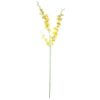 Yellow Dancing Orchid Stem (88cm)