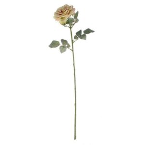 Single Cream & Blush Aidde Rose Stem (72cm)