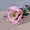 pink rose stem
