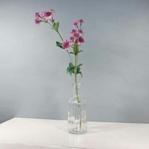 Mauve Astrantia Stem -14 Flowers (50cm)