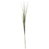 Green Onion Grass Stem (105cm)