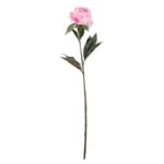 Single Soft Pink Peony Stem (68cm)