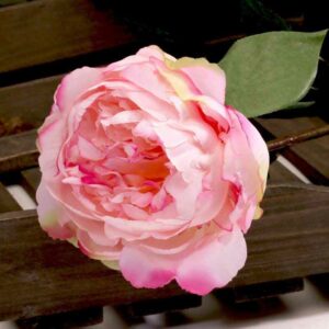 Single Soft Pink Peony Stem (68cm)