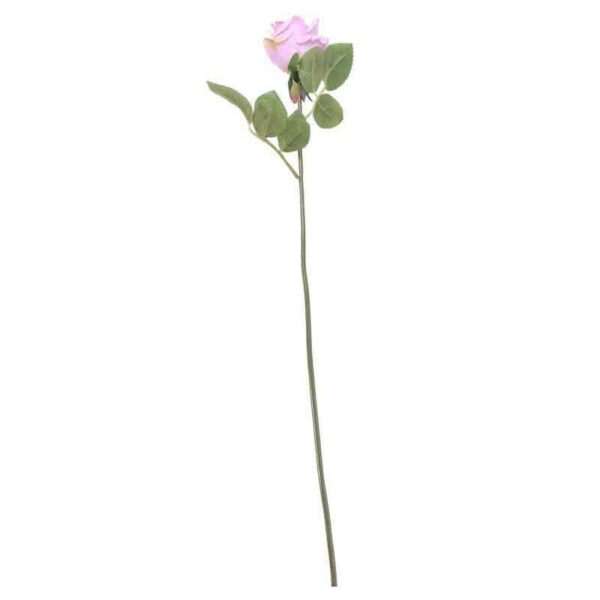 Lavender rose bud stem