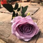 Arundel Rose Lavender