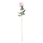 Small lavender rose