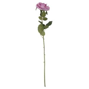 Arundel open rose lavender