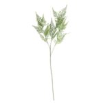 Asparagus Fern Spray Stem (74cm)