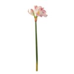 Pink Amaryllis Stem (77cm)