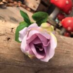 Lavender rose bud stem