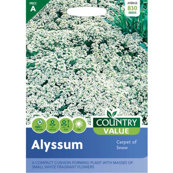 Country Value Alyssum Carpet Of Snow Seeds