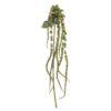 Green Amaranthus Stem (66cm)