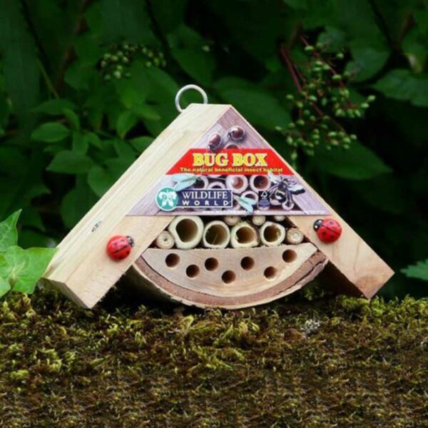 Wildlife World Minibugs Bobby's Bug Box