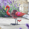 Smart Solar Flamingo Spiralight Decoration Lifestyle Day