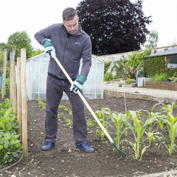 Wilkinson Sword Carbon Steel 3 Prong Cultivator in use