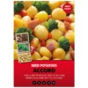 Accord First Early Seed Potatoes 2kg