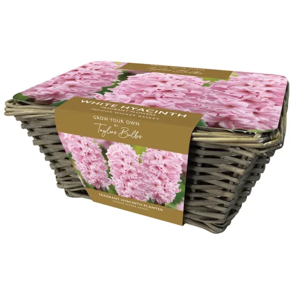 Large Wicker Basket Pink Hyacinth Planter
